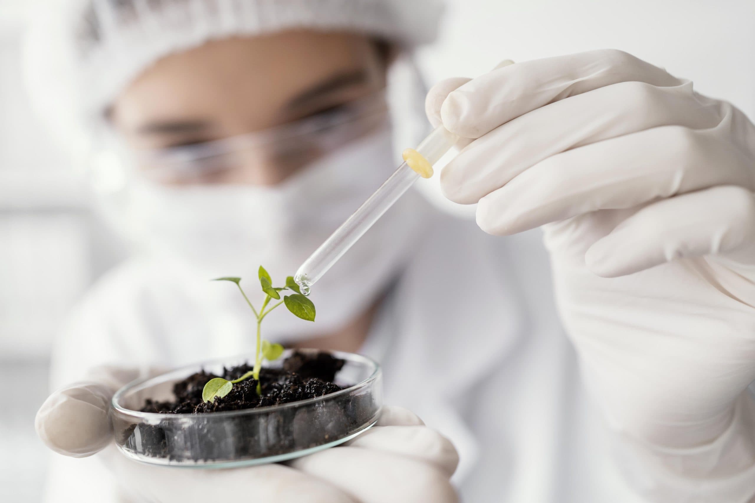 Natural Ways to Improve Soil Fertility Through Microbial Activity