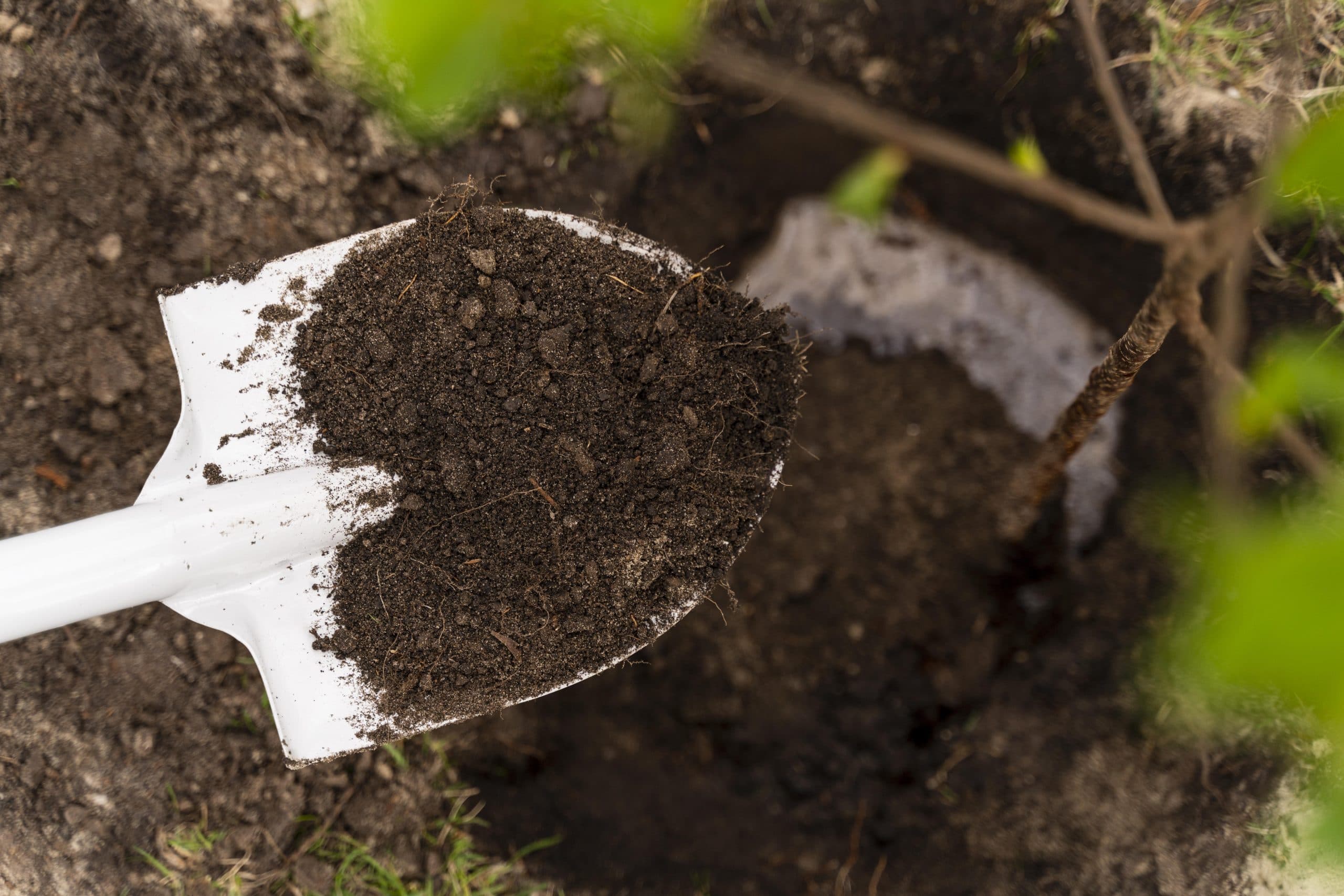 Use of Soil Conditioners for Improving Crop Yield and Soil Health