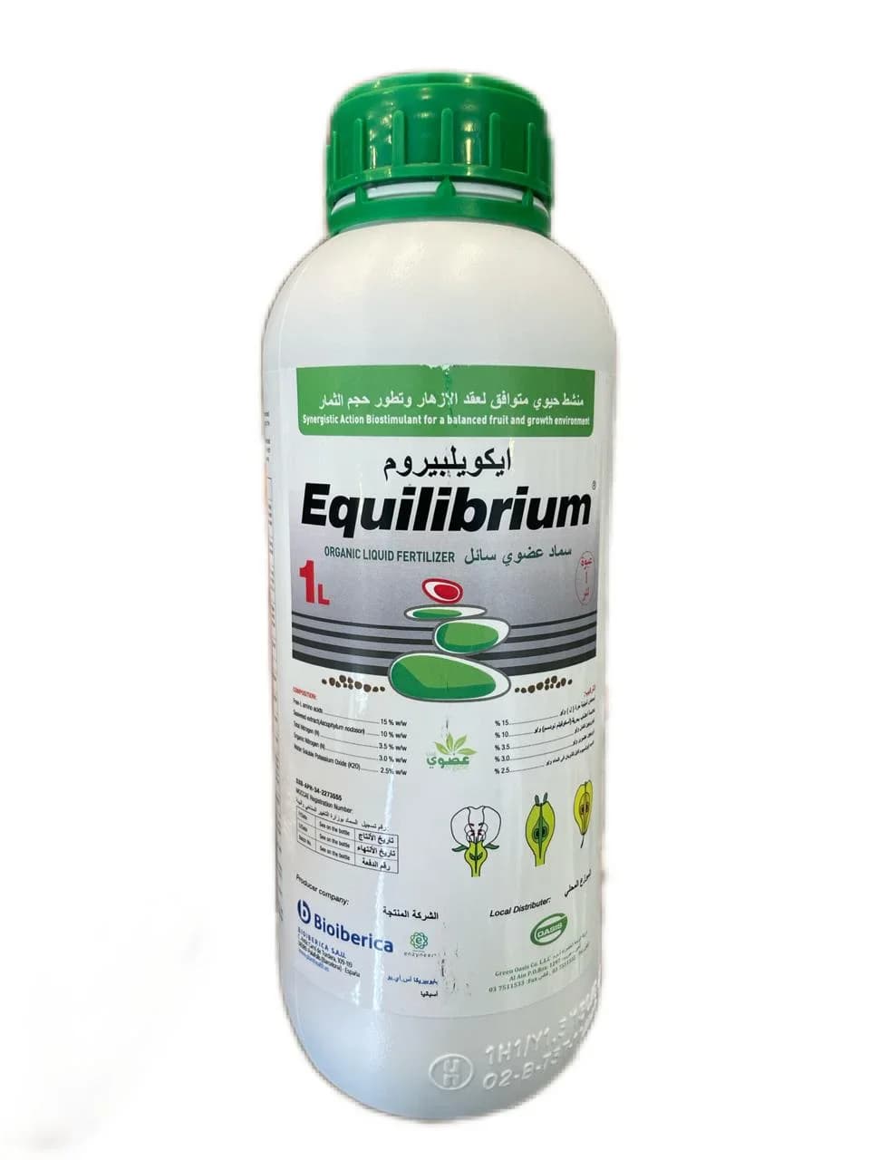 Equilibrium 1L