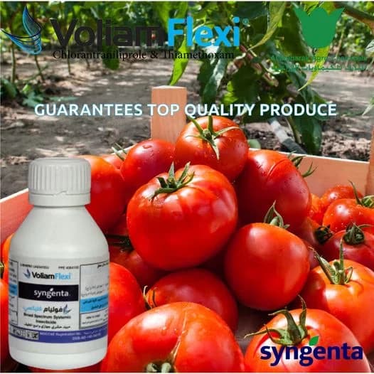 M1014201 Voliam Flexi, 100 ml