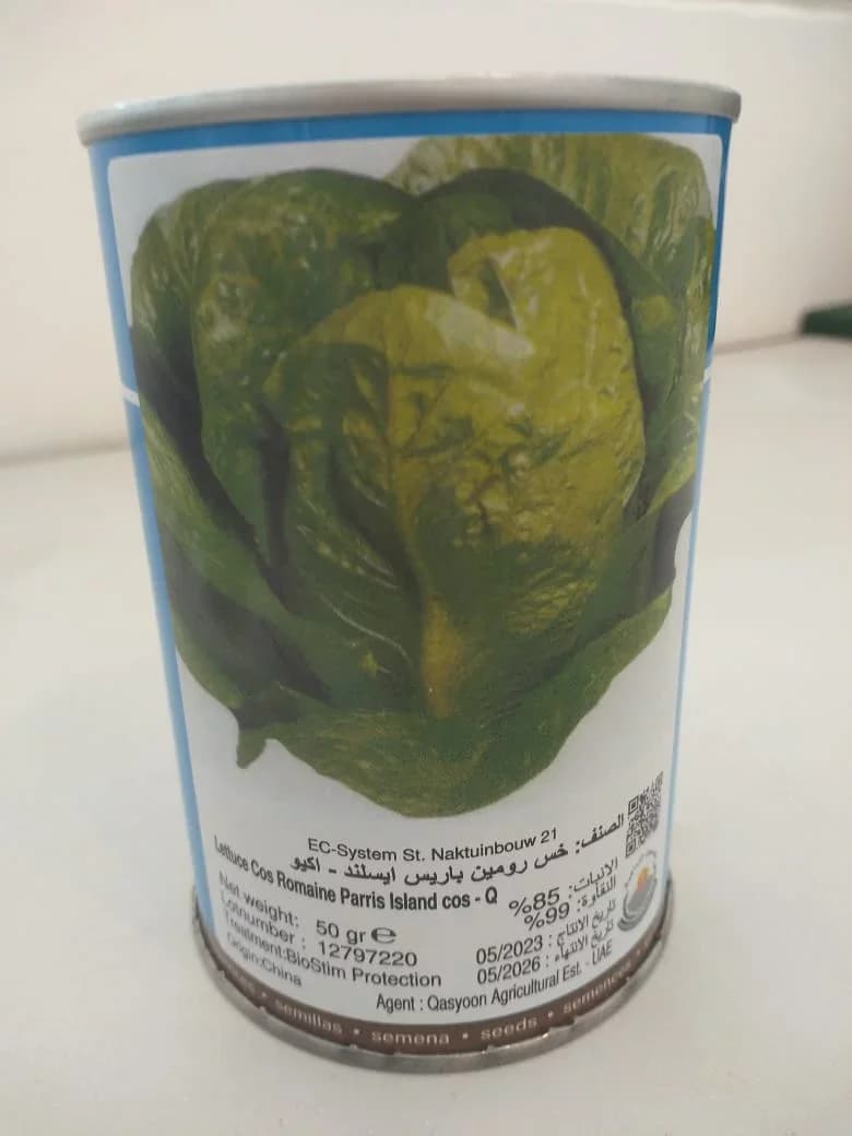 Lettuce Cos Romaine Parris Island Cos - Q