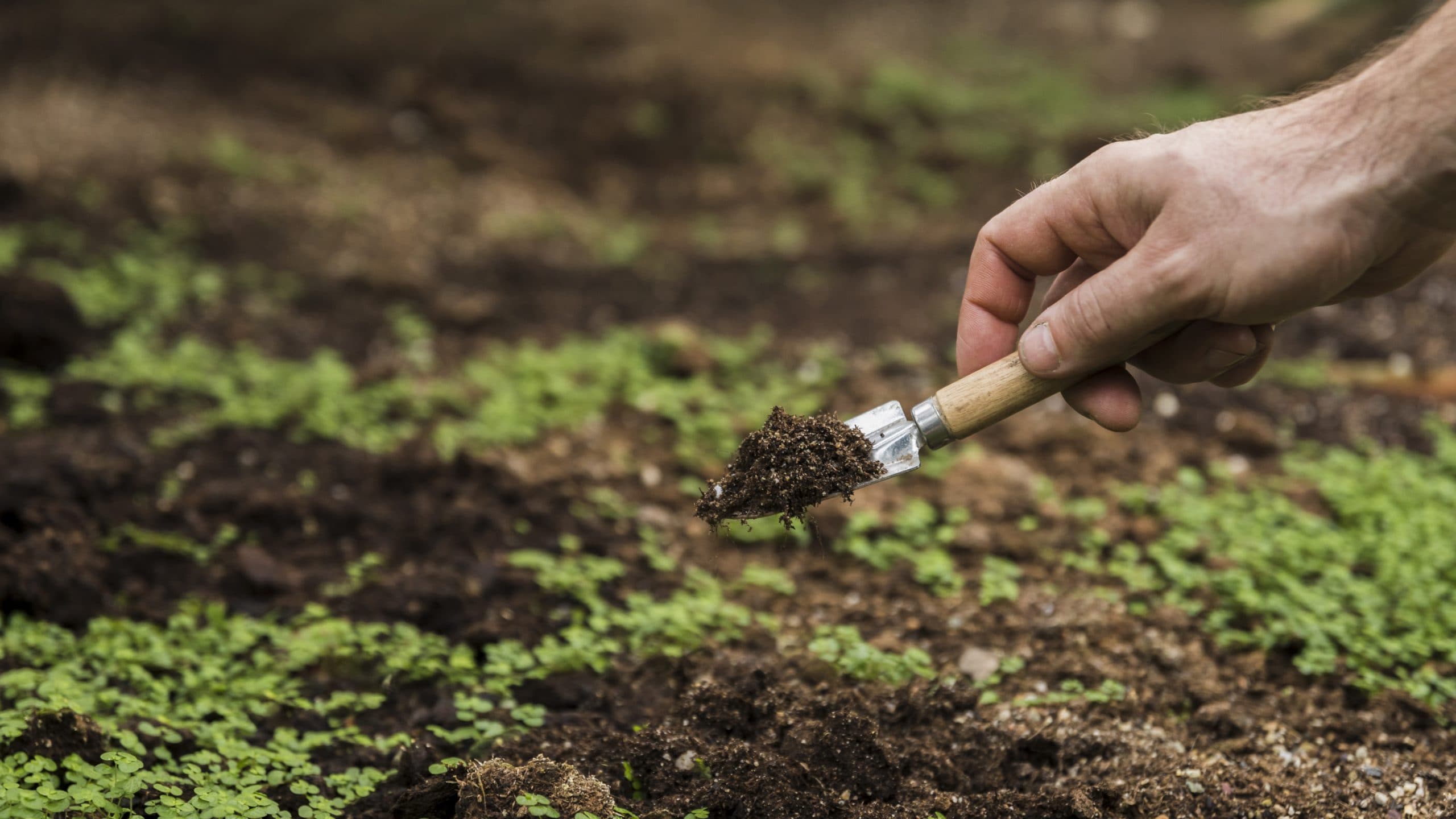 Reducing Input Costs Through Better Soil Management